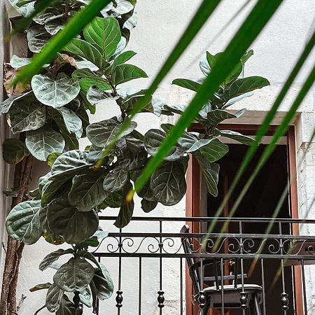 Casa Dei Delfini Hotel Rethymno  Ngoại thất bức ảnh