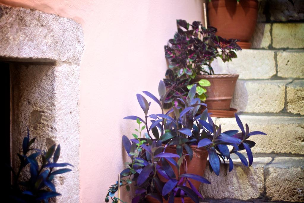 Casa Dei Delfini Hotel Rethymno  Ngoại thất bức ảnh